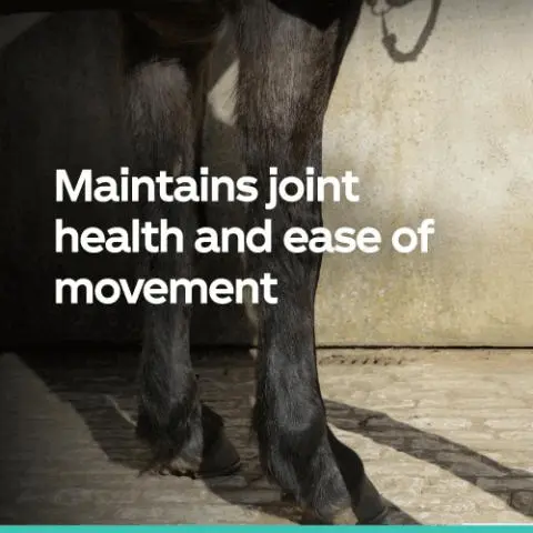 Image 3 - Lower legs of a dark horse on paved ground with the text Maintains joint health and ease of movement. Image 4 - An image showing a tub of Protexin Equine Cosequin joint health supplement alongside usage instructions that say How to use Initial loading programme Feed recommended amount daily for 2-4 weeks or as recommended by your veterinary surgeon Maintenance programme After initial loading programme reduce daily amount by 1 level scoop each week Each tub contains approximately 212 scoops Scoop included and the tub label reads Protexin EQUINE Cosequin A palatable powder to support joint function containing chondroitin sulphate and glucosamine 700g 106-day supply JOINT HEALTH. Image 5 - A tub of Protexin Equine Cosequin Joint Health powder next to usage instructions which read How to use < 300kg horse Initial Loading: 2 level scoops twice daily. Maintenance: 1 level scoop per day. 300 - 600kg horse Initial Loading: 3 level scoops twice daily. Maintenance: 1 - 2 level scoops per day. > 600kg horse Initial Loading: 4 level scoops twice daily. Maintenance: 2 level scoops per day. The tub text reads Protexin EQUINE Cosequin A palatable powder to support joint function containing chondroitin sulphate and glucosamine. 700g 106-day supply JOINT HEALTH. Image 6 - An image shows the old blue and red tub of Protexin Cosequin Equine 700g next to the new blue and green tub with text Old above the left, New above the right, and New look Same trusted Protexin Equine Products below. Image 7 - A tub of Protexin Equine Cosequin joint supplement next to a testimonial box with five stars and the text Its made a significant and noticeable difference. Best joint supplement Ive ever used. 10/10 Verified purchase customer Reviewed on Amazon UK.