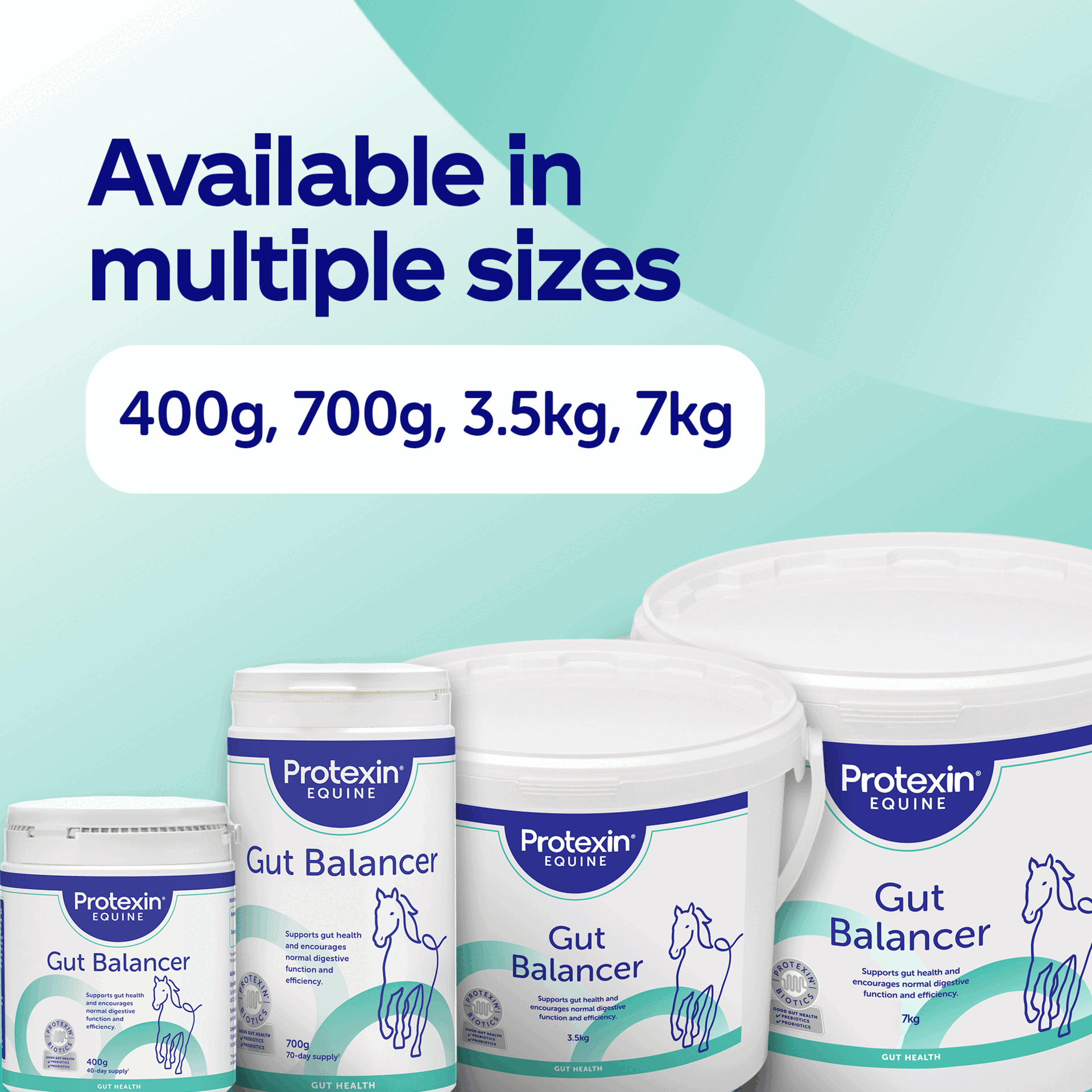 Image 1 - Image shows four white tubs of Protexin Equine Gut Balancer product in different sizes with text Available in multiple sizes 400g, 700g, 3.5kg, 7kg.
              Image 2 - A hand scoops Protexin Equine Gut Balancer from a tub into a feed bucket, with overlaid text How to use Add to food daily for general wellbeing. Normal use: 10g (1 level measure). Stress use: 20g (2 level measures). Scoop included and text on the tub Protexin Equine Gut Balancer.
              Image 3 - An image showing a tub of Protexin Equine Gut Balancer with connecting circles containing text, and text above stating Meet Gut Balancer, with the circles reading A tasty probiotic and unique dual source prebiotic, Supports optimal nutrition, Helps improve digestive function and efficiency, and the tub label reading Protexin EQUINE Gut Balancer Supports gut health and encourages normal digestive function and efficiency, Protexin Biotics Good Gut Health Prebiotics Probiotics, 400g 40-day supply.
              Image 4 - Photo of Protexin Equine Gut Balancer tub with text including Protexin EQUINE Gut Balancer Supports gut health and encourages normal digestive function and efficiency BIOTICS GOOD GUT HEALTH PREBIOTICS PROBIOTICS 400g 40-day supply GUT HEALTH, a scoop with powder and 15ml text, and a testimonial bubble showing 5 stars and text Gut Balancer is amazing I wont use any other company or products Verified purchase customer Reviewed on Amazon UK.
              Image 5 - Image shows the old Protexin Equine Premium Gut Balancer container next to the new Protexin Equine Gut Balancer container, with the text Old and New above the containers and New look Same trusted Protexin Equine Products below them. The old container includes text Protexin Equine Premium Gut Balancer 700g 70 day supply A rich source of MOS and Beta Glucan A probiotic and prebiotic powder to encourage normal digestive function and efficiency for continuous use or to help maintain a natural immunity at times of stress. The new container includes text Protexin Equine Gut Balancer Supports gut health and encourages normal digestive function and efficiency Protexin Biotics GOOD GUT HEALTH Prebiotics Probiotics 700g 70-day supply GUT HEALTH and an illustration of a horse.
              Image 6 - The image shows two white tubs of Protexin Equine Gut Balancer side by side with text Old and New above them, the left tub is labelled Protexin Equine Premium Gut Balancer 3.5kg A rich source of MOS and Beta Glucan A probiotic and prebiotic powder to encourage normal digestive function and efficiency for continuous use, or to help maintain a natural immunity at times of stress. and the right tub is labelled Protexin Equine Gut Balancer Supports gut health and encourages normal digestive function and efficiency. 3.5kg GUT HEALTH, and text below the tubs reads New look Same trusted Protexin Equine Products.
              Image 7 - Image showing the old dark blue Protexin Equine Premium Gut Balancer 7kg tub next to the new lighter blue and green Protexin Equine Gut Balancer 3.5kg tub with a horse illustration, with text Old above the first and New above the second, and text below reading New look Same trusted Protexin Equine Products.
              Image 8 - The image shows the old and new packaging designs for Protexin Equine Gut Balancer side by side with text Old, New, Protexin Equine Premium Gut Balancer, Protexin Equine Gut Balancer, 400g, 40 day supply, New look Same trusted Protexin Equine Products.