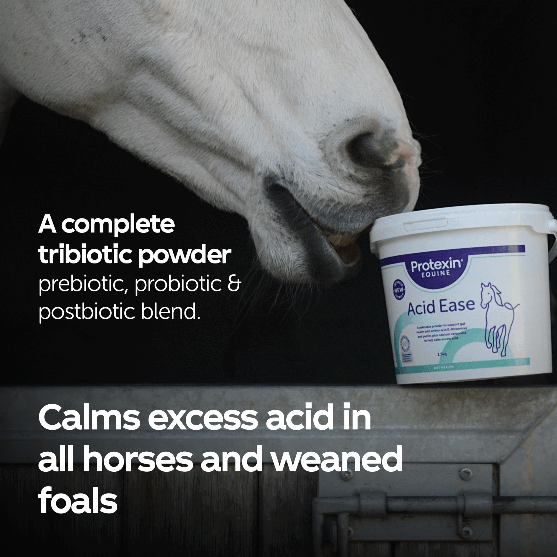 Image 1 - A white horses head is next to a tub of Protexin EQUINE Acid Ease product, with overlaid text that reads A complete tribiotic powder prebiotic probiotic & postbiotic blend Calms excess acid in all horses and weaned foals.
              Image 2 - A white bucket of Protexin Equine Acid Ease horse supplement sits on cobblestones next to a wall and gate with a dandelion image and text overlay stating A palatable dandelion flavoured powder and text on the bucket label reading Protexin EQUINE Acid Ease IMPROVED NEW FORMULA PROTEZIN EQUINE BIOTICS Good Gut Health PROBIOTICS PREBIOTICS POSTBIOTICS A palatable powder to support gut health with amino acid L-threonine and pectin plus calcium carbonate to help calm excess acid 3kg GUT HEALTH.
              Image 3 - Image shows a hand holding a blue scoop filled with powder over a tub of Protexin Equine Acid Ease with overlay text How to use Feed 50g 1 heaped measure of scoop twice a day for the first month Reduce by half for maintenance Scoop included.
              Image 4 - A white bucket of Protexin Equine Acid Ease powder with label text including Improved New Formula Good Gut Health a description of the powder and 3kg shown with overlaid text Made With and bubbles for High quality fibres Calcium Kaolin and Amino Acids on a purple background.
              Image 5 - White tub of Protexin Equine Acid Ease powder with blue scoop, and a purple box showing five stars and a customer testimonial in the background with text Protexin EQUINE Acid Ease IMPROVED NEW FORMULA Protexin Biotics Good Gut Health Prebiotics Probiotics Postbiotics A palatable powder to support gut health with amino acid (L-threonine) and pectin, plus calcium carbonate to help calm excess acid. 1.5kg GUT HEALTH Acid Ease has made a massive difference to my horse. *Verified purchase customer Reviewed on Amazon UK.
              Image 6 - An image showing the old and new packaging of Protexin Equine Acid Ease product tubs with the text Old and New above the tubs and New look Same trusted Protexin Equine Products below.