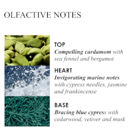 olfactive notes. top = compelling cardamom with sea fennel and bergamot. heart = invigorating cypress needles, jasmine and frankincense. base = bracing blue cypress with cedarwood, vetiver and musk