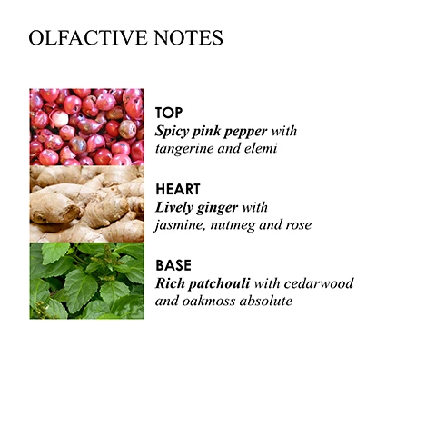 olfactive notes eau de toilette. top = bright grapefruit with yuzu and lemongrass. heart = tart rhubarb leaf with rose and spearmint. base = creamy vanilla with musk and spun sugar.