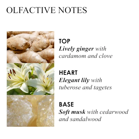 olfactive notes. top = lively ginger with cardamom and clove. heart = elegant lily with tuberose and targets. base = soft musk with cedarwood and sandalwood.