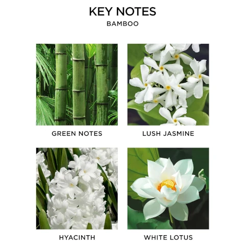key notes bamboo = green notes, lush jasmine, hyacinth, white lotus