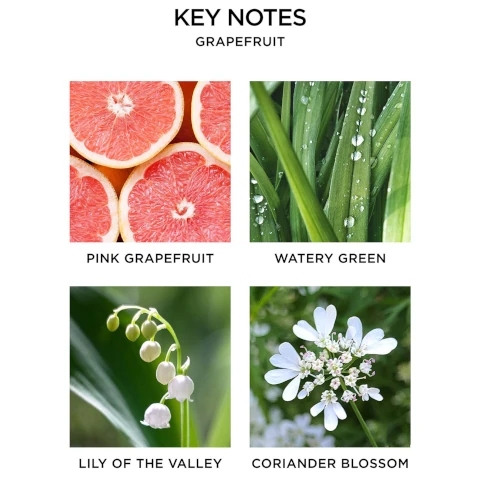 key notes grapefruit = pink grapefruit, watery green, lily of the valley, coriander blossom