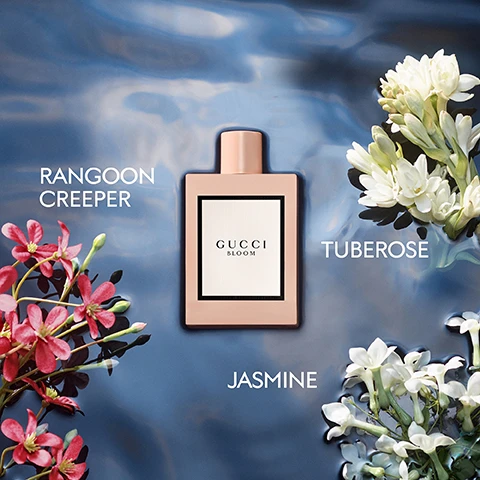 Image 2 - A pale pink Gucci Bloom perfume bottle with the label GUCCI BLOOM sits in blue water next to red Rangoon Creeper flowers labeled RANGOON CREEPER, white Tuberose flowers labeled TUBEROSE, and white Jasmine flowers labeled JASMINE. Image 3 - Four different Gucci Bloom perfume bottles are partially submerged in water with flowers, featuring the visible text EAU DE TOILETTE LUMINOUS FRESHNESS, GUCCI BLOOM EAU DE TOILETTE, EAU DE PARFUM ICONIC FLORALITY, GUCCI BLOOM, EAU DE PARFUM INTENSE SENSUAL CHYPRE, GUCCI BLOOM INTENSE, PARFUM SOLAR AMBER, and GUCCI BLOOM PARFUM. Image 4 - Three women are in water surrounded by flowers and lily pads, one woman holds a perfume bottle, another is near two bottles, with the text GUCCI BLOOM.