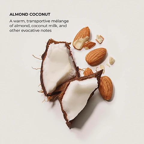almond coconut - a warm, transportive melange of almond, coconut milk and other evocative notes.
