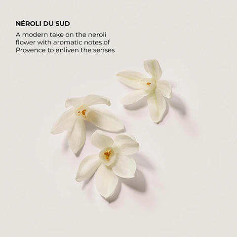 neroili du sud. a modern take on the neroli flower with aromatic notes of provence to enliven the senses.