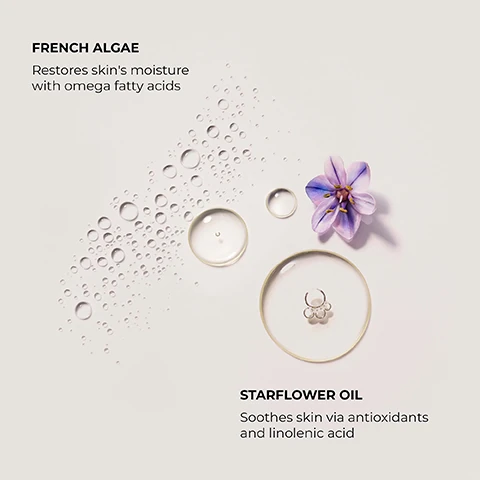 french algae restores skin's moisture with omega fatty acids. starflower oil soothes skin via antioxidants and linolenic acid.