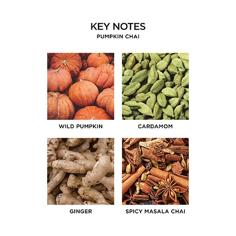 key notes pumpkin chai. wild pumpkin, cardamom, ginger, spicy masala chai.