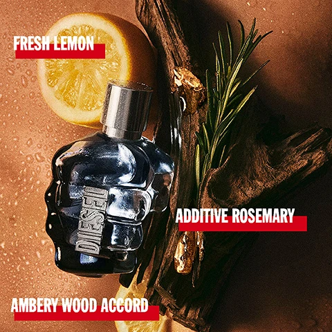 fresh lemon, addictive rosemary, ambery wood eccord