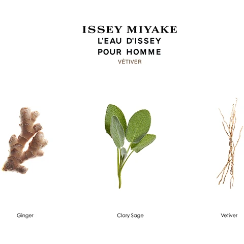 issey miyake l'eau d'issey pourhomme vetiver. ginger, clary sage and vetiver