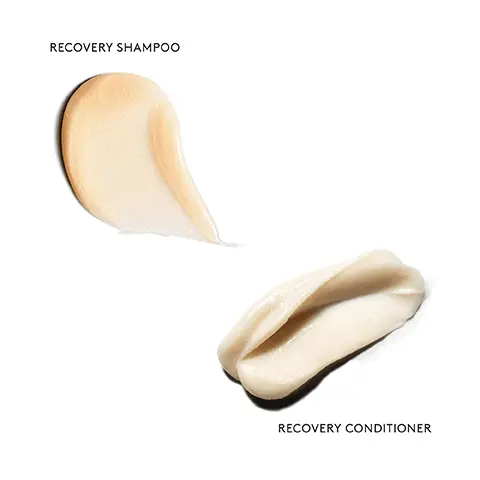 Image 1, recovery shampoo, recovery conditioner. Image 2,Key Claims 97% % of women said their hair felt softer after just one use. 97% of women felt their hair was less damaged. 91% % of women felt their hair was more manageable. Consumer Perception Study of 42 women who used Recovery Shampoo for 2 weeks (10 uses). Image 3, OUR BRAND IS FREE OF SULFATES. PARABENS. PHTHALATES SYNTHETIC COLORS & DYES. GLUTEN FREE. CRUELTY FREE. VEGAN.