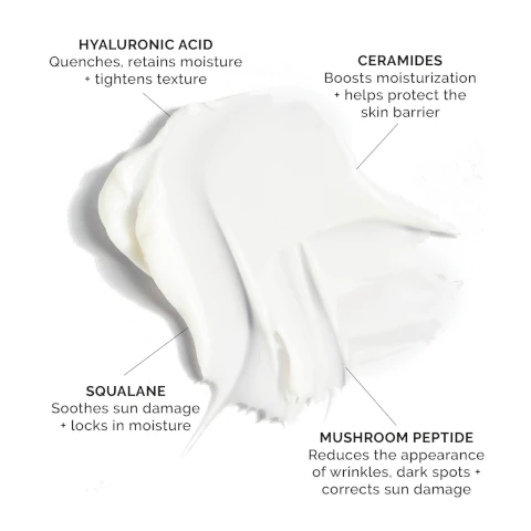 hyaluronic acid - quenches, retians moisture and tightens texture. ceramides - boost moistueization and helps protect the skin barrier. squalane - soothes sun damage and locks in moisture. mushroom peptide - reduces the appearance of wrinkles, dark spots and corrects sun damage.
