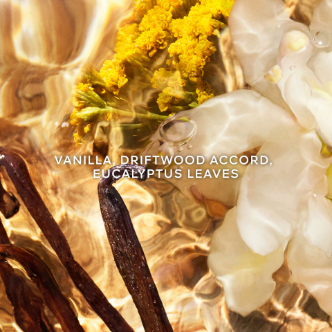 Vanilla driftwood accord eucalyptus leaves.