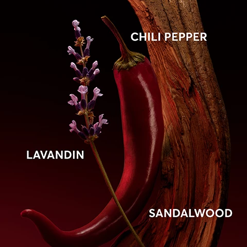 Image 1, chili pepper, lavandin, sandalwood. image 2, boss the scent the new elixirs. image 3, boss the scent. eau de toilette - scent mood = sensual and captivating. scent family = ambery woody fruity. scent notes = madarin, ginger, maninka, leather accord. intensity level = 1 out of 4. magnetic eau de parfum - scent mood = attractive and exhilarating. scent family = ambery fruity. scent notes = maninka, wheat bran and black vanilla. intensity level = 2 out of 4. le parfum - scent mood = intense and addictive. scent family = ambery leathery. scent notes = madarin, ginger, iris flower and leather accord. intensity level = 3 out of 4. elixir - scent mood = inflamed and hypnotic. scent family = ambery leathery woody. scent notes = pimento, lavandin absolute, sandalwood. intensity level = 4 out of 4