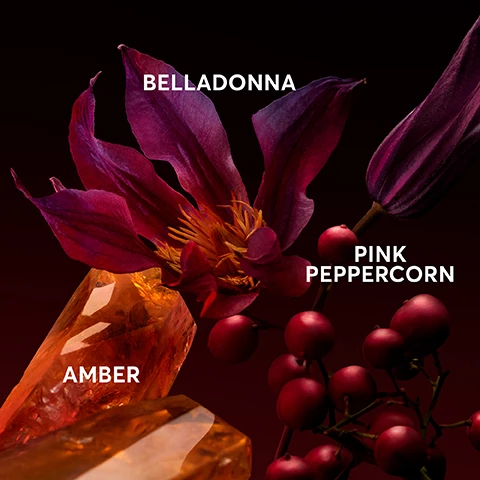 Image 1, belladonna, amber, pink peppercorn. image 2, boss the scent the new elixirs.