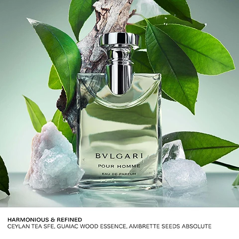 image 1, harmonious and refined. ceylan tea SFE, guaiac wood essence, ambrette seeds absolute. image 2, eau de parfum harmonious and refined. eau de toilette - comforting and refreshing