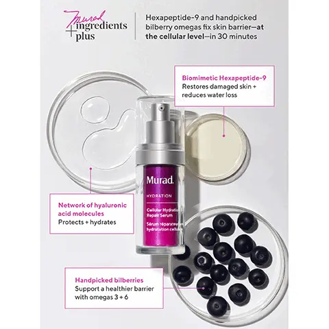 Image 1, ingredients plus Hexapeptide-9 and handpicked bilberry omegas fix skin barrier-at the cellular level-in 30 minutes Network of hyaluronic acid molecules Protects + hydrates Murad. HYDRATION Cellular Hydratio Repair Serum Sérum réparateu hydratation ce Handpicked bilberries Support a healthier barrier with omegas 3 +6 Biomimetic Hexapeptide-9 Restores damaged skin + reduces water loss Image 2, UNRETOUCHED REAL RESULTS Before After 1 week Cellular Hydration Barrier Repair Serum Image 3, CELLULAR HYDRATION TRIO Musad CELLULAR HYDRATION BARRIER REPAIR SERUM • Concentrated serum with Hexapeptide-9 • Repairs skin barrier at the cellular level • After cleansing, AM and PM CELLULAR HYDRATION BARRIER REPAIR CREAM .Daily nourishing cream with fatty acids • Nourishes + locks in barrier hydration at the cellular level . After serum, AM and PM Murad Murad. CELLULAR HYDRATION BARRIER REPAIR MASK • Intensely soothing overnight mask ⚫ Hydrates+ mends the barrier at the cellular level • Overnight, when skin needs added repair
