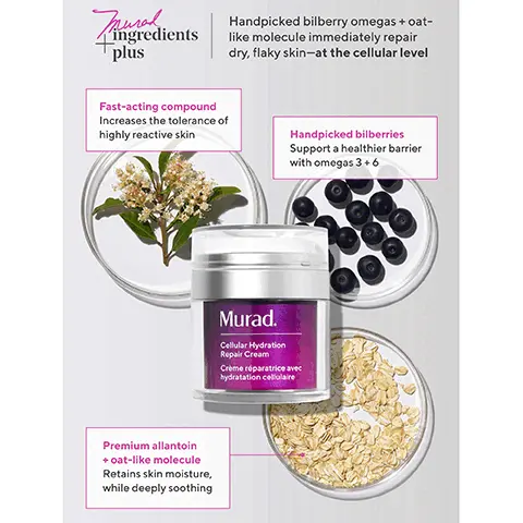 Image 1, Zingredients plus Handpicked bilberry omegas + oat- like molecule immediately repair dry, flaky skin-at the cellular level Fast-acting compound Increases the tolerance of highly reactive skin Handpicked bilberries Support a healthier barrier with omegas 3+6 Premium allantoin +oat-like molecule Retains skin moisture, while deeply soothing Murad. Cellular Hydration Repair Cream Crème réparatrice avec hydratation cellulaire Image 2, UNRETOUCHED REAL RESULTS Before After 1 week Cellular Hydration Barrier Cream Image 3, Munaldie ingredients plus Intensely soothing overnight mask that repairs dry, red and rough skin -at the cellular level Canadian willowherb Reduces damage from oxidative stress Handpicked bilberries Support a healthier barrier with omegas 3 +6 Murad. HYDRATION Cellular Hydration Repair Mask Masque réparateur avec hydratation Hibiscus extract Delivers potent hydration, protects from water loss
