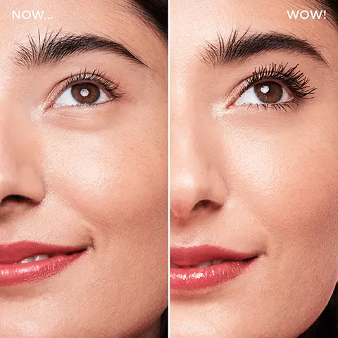 Now vs. Wow. Before vs. Wow The Professional.