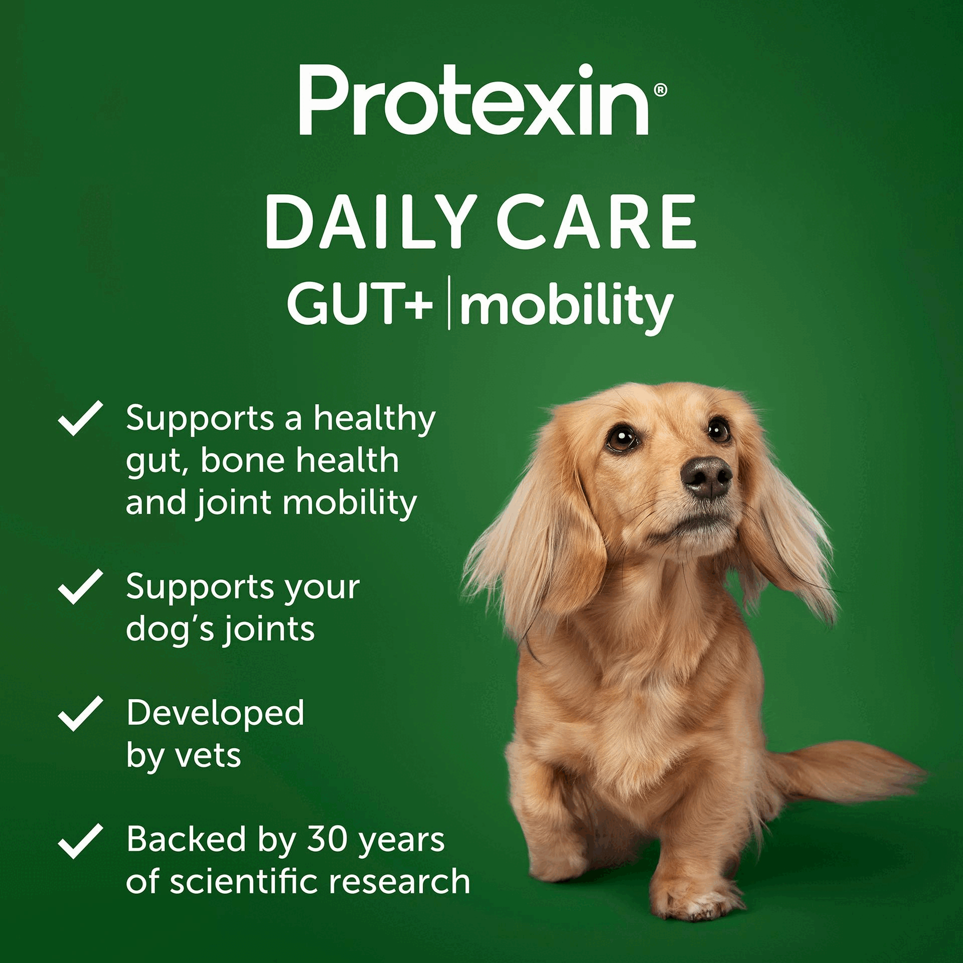 Image 1 GIF - A light brown long-haired dachshund dog is shown on a green background with white text that reads Protexin® DAILY CARE GUT+ | mobility Supports a healthy gut, bone health and joint mobility Supports your dogs joints Developed by vets Backed by 30 years of scientific research. Image 2 GIF - A dark green graphic with white text and a white and grey PetBiotix logo, displaying the words SMARTER PETCARE POWERED BY BIOTICS, Backed by 30 years of scientific research, we have developed Protexin Daily Care Gut+ to revolutionise pet wellness, Support the balance of your dogs gut and look after them in the smartest way possible - from the inside, out, PETBIOTIX, GOOD GUT HEALTH, Prebiotics, and Postbiotics. Image 3 GIF - A green graphic with a large headline TASTES GOOD, DOES GOOD, followed by three circular icons with text: an intestine icon next to A delicious daily chew, packed with prebiotics and postbiotics, a chicken icon next to Chicken and bacon flavour for a taste theyll love, and a paw print icon next to Suitable for dogs of all sizes. Image 4 GIF - A hand holds a single brown dog chew above a green informational chart titled HOW MANY, HOW OFTEN?, which provides a dosage guide for dog chews including columns for Size of dog, Chews per day, 1 pouch lasts, Deliver every, with data for Small (<15kg) - 1 chew, 60 days, 2 months; Medium (15-30kg) - 2 chews, 30 days, 1 month; Large (30-45kg) - 3 chews, 20 days, 3 weeks; Extra-large (>45kg) - 4 chews, 15 days, 2 weeks. Image 5 GIF - A golden-brown long-haired dachshund dog jumps against a green background, with text that reads: OUR ACTIVE INGREDIENTS Daily support for a healthy gut, bone health and joint mobility. Postbiotic: Inulin (Cichorium intybus L.). Postbiotic: Inactivated Bifidobacterium animalis subsp. lactis CECT8145 BPL1®. Other active ingredients: Glucosamine HCL, MSM, algae oil (Omega-3, DHA, EPA), green-lipped mussel, hemp seed powder, seaweed meal, hyaluronic acid. Image 6 GIF - A blue background displays an assortment of Protexin pet health products, including Protexin Daily Care Gut+skin & coat and Gut+immunity 60 soft chew pouches, Protexin Pro-Fibre GUT HEALTH prebiotic and postbiotic fibre tub, and Protexin Pro-Kolin vet developed and recommended paste for dogs and cats, along with the text Protexin, Powered by science, packed full of life, and Part of the Protexin family.