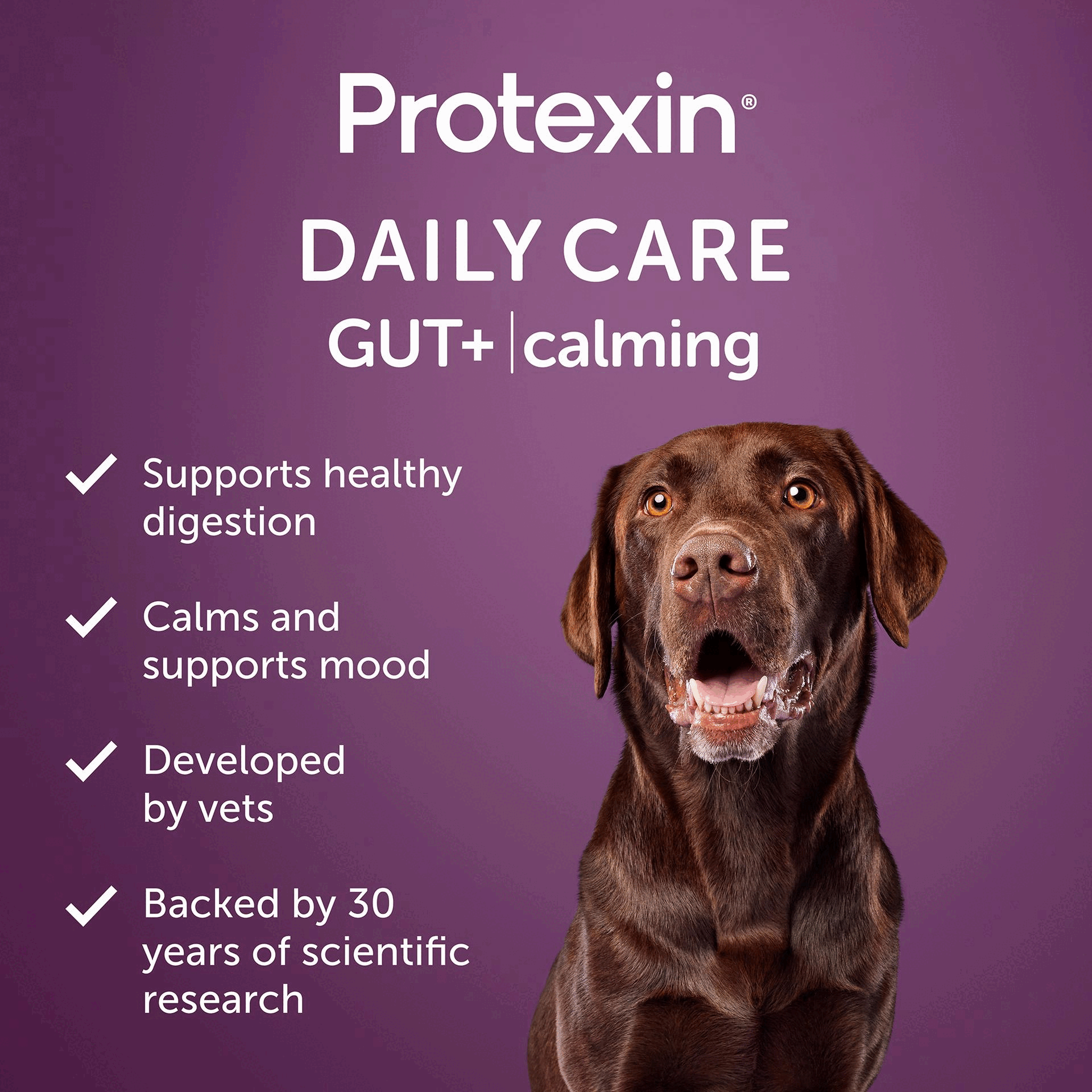 Image 1 GIF - A brown Labrador dog with its mouth open is shown on a purple background, with text reading Protexin DAILY CARE GUT+ | calming, Supports healthy digestion, Calms and supports mood, Developed by vets, and Backed by 30 years of scientific research. Image 2 GIF - A dark purple graphic displays the heading SMARTER PETCARE POWERED BY BIOTICS, followed by text reading Backed by 30 years of scientific research, we have developed Protexin Daily Care Gut+ to revolutionise pet wellness. Support the balance of your dogs gut and look after them in the smartest way possible – from the inside, out., and a circular logo on the right featuring a stylized intestine and the words PETBIOTIX GOOD GUT HEALTH, with a connected grey box listing PREBIOTICS and POSTBIOTICS. Image 3 GIF - A dark purple background displays white text detailing product benefits, including the heading TASTES GOOD, DOES GOOD, followed by three points: an intestine icon with A delicious daily chew, packed with prebiotics and postbiotics, a chicken icon with Chicken, liver and kale flavour for a taste theyll love, and a paw print icon with Suitable for dogs of all sizes. Image 4 GIF - A hand holds a single green pet chew above a table with the title HOW MANY, HOW OFTEN?, which details feeding guidelines: Size of dog, Chews per day, 1 pouch lasts, and Deliver every, with specific data for Small (<15kg): 1 chew, 60 days, 2 months; Medium (15-30kg): 2 chews, 30 days, 1 month; Large (30-45kg): 3 chews, 20 days, 3 weeks; and Extra-large (>45kg): 4 chews, 15 days, 2 weeks. Image 5 GIF - A brown labrador dog holds a bundle of sticks in its mouth on a purple background, with accompanying text that lists OUR ACTIVE INGREDIENTS Daily support for a healthy gut and to help maintain calm behaviour. Prebiotic: Inulin (Cichorium intybus L.). Postbiotic: Inactivated Bifidobacterium longum CECT7347 ES1, Inactivated Lactobacillus rhamnosus CECT8361, Inactivated Bifidobacterium animalis subsp. lactis CECT8145 BPL1®. Other active ingredients: Hemp seed oil, hemp seed powder, valerian root powder, chamomile, L-tryptophan. Image 6 GIF - The image shows various Protexin pet health products on a blue background, including Protexin Daily Care soft chew pouches, a Protexin Pro-Fibre tub, a Protexin Pro-Kolin box, and a Protexin Pro-Kolin syringe with loose soft chews, all below the main text Protexin Powered by science, packed full of life and above the text Part of the Protexin family.