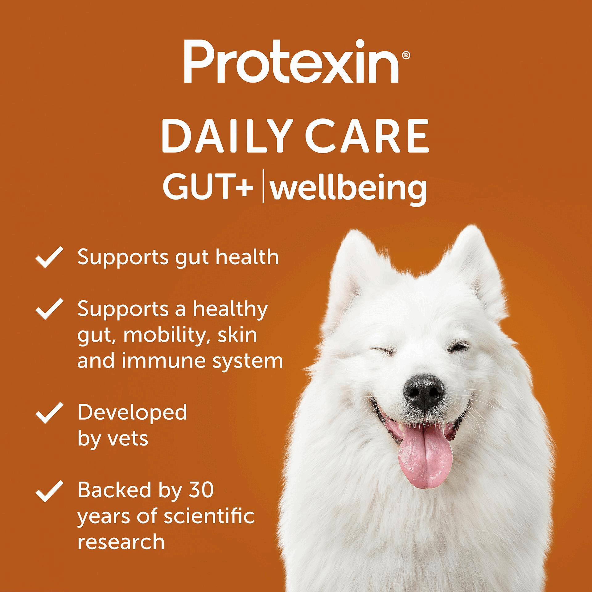 Image 1 GIF - A smiling white fluffy dog with closed eyes and tongue out is featured on an orange background, alongside white text that reads Protexin DAILY CARE GUT+ wellbeing, Supports gut health, Supports a healthy gut, mobility, skin and immune system, Developed by vets, Backed by 30 years of scientific research. Image 2 GIF - An orange background displays white text and a grey circular logo with a rectangular box below it, featuring the text: SMARTER PETCARE POWERED BY BIOTICS. Backed by 30 years of scientific research, we have developed Protexin Daily Care Gut+ to revolutionise pet wellness. Support the balance of your dog’s gut and look after them in the smartest way possible – from the inside, out. The grey logo contains the words PETBIOTIX and GOOD GUT HEALTH around a wavy line, and the box underneath lists PREBIOTICS, PROBIOTICS, POSTBIOTICS, each with a checkmark. Image 3 GIF - A graphic on an orange background with white text and icons reads TASTES GOOD, DOES GOOD, followed by three points: a stylized intestine icon for A delicious daily chew, packed with good bacteria; a duck icon for Duck and carrot flavour for a taste theyll love; and a paw print icon for Suitable for dogs of all sizes. Image 4 GIF - A hand holds a heart-shaped dog treat above a table displaying feeding guidelines titled HOW MANY, HOW OFTEN?, with columns for Size of dog, Chews per day, 1 pouch lasts, and Deliver every, and rows detailing Small (<15kg) - 1 chew, 60 days, 2 months; Medium (15-30kg) - 2 chews, 30 days, 1 month; Large (30-45kg) - 3 chews, 20 days, 3 weeks; Extra-large (>45kg) - 4 chews, 15 days, 2 weeks. Image 5 GIF - An image shows a happy white fluffy dog with its tongue out on the right side, next to a list of ingredients on an orange background that reads Our Active Ingredients, Daily support for a healthy gut, mobility, skin and immune function, Prebiotic: Inulin (Cichorium intybus L.), Probiotic: Bacillus velezensis, Postbiotics: Inactivated Bifidobacterium animalis subsp. lactis CECT8145 BPL1®, Inactivated Bifidobacterium longum CECT7347 ES1, Other active ingredients: Green-lipped mussel, algae oil (Omega-3, DHA, EPA), MSM, turmeric extract and Capsicum oleoresin, freeze-dried melon juice concentrate, vitamin blend (A, B1, B2, B3, B5, B6, B12, D3, E). Image 6 GIF - A photo on a blue background showcases Protexin brand pet health products, including Protexin Daily Care Gut+Skin & Coat and Gut+Immunity soft chew pouches, a Protexin Pro-Fibre tub, and a Protexin Pro-Kolin syringe and box, with loose chews scattered in the foreground, alongside the prominent text Protexin® Powered by science, packed full of life and Part of the Protexin® family.