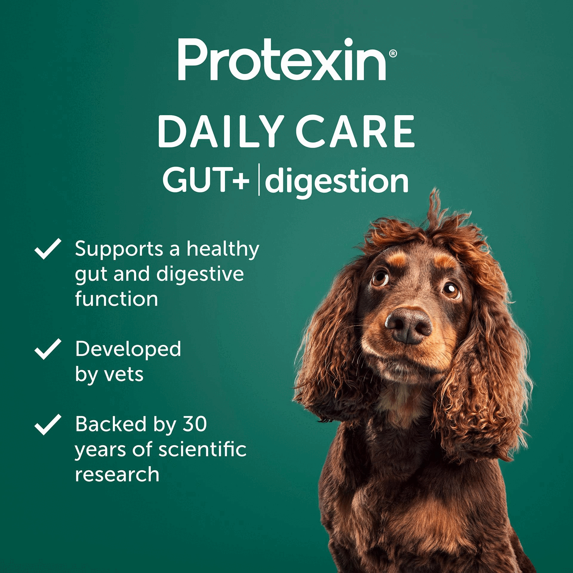 Image 1 GIF - A brown cocker spaniel dog looks up against a teal background next to the text Protexin DAILY CARE GUT+ digestion, followed by bullet points stating Supports a healthy gut and digestive function, Developed by vets, and Backed by 30 years of scientific research. Image 2 GIF - A dark green promotional image features white text reading Smarter Petcare Powered By Biotics, followed by explanatory text: Backed by 30 years of scientific research, we have developed Protexin Daily Care Gut+ to revolutionise pet wellness. Support the balance of your dogs gut and look after them in the smartest way possible - from the inside, out. A circular grey logo in the bottom right corner displays Pet Biotix Good Gut Health, positioned above a grey rectangular box with checkmarks next to Prebiotics, Probiotics, Postbiotics. Image 3 GIF - An infographic on a dark green background is titled TASTES GOOD, DOES GOOD, and lists three points: an intestine icon next to A delicious daily chew, packed with good bacteria; a chicken icon next to Chicken and carob flavour for a taste theyll love; and a paw print icon next to Suitable for dogs of all sizes. Image 4 GIF - A hand holds a small cylindrical chewable supplement, and below it is a table with the text: HOW MANY, HOW OFTEN? Size of dog, Chews per day, 1 pouch lasts, Deliver every. Small (<15kg): 1 chew, 60 days, 2 months. Medium (15-30kg): 2 chews, 30 days, 1 month. Large (30-45kg): 3 chews, 20 days, 3 weeks. Extra-large (>45kg): 4 chews, 15 days, 2 weeks. Image 5 GIF - A brown, curly-haired dog with its pink tongue sticking out on a dark green background accompanies text that reads: OUR ACTIVE INGREDIENTS Daily support for a healthy gut and digestive function. Prebiotics: Maltodextrin (Fibersol®), Inulin (Cichorium intybus L.). Probiotic: Bacillus velezensis DSM 15544. Postbiotics: Inactivated Bifidobacterium animalis subsp. lactis CECT8145 BPL1® Inactivated Bifidobacterium longum CECT7347 ES1, Inactivated yeast (Pichia guilliermondii). Other active ingredients: Psyllium seed husk. Image 6 GIF - A variety of Protexin pet health products are displayed against a blue background, including pouches of Protexin Daily Care GUT+skin & coat and Protexin Daily Care GUT+immunity soft chews, a tub of Protexin Pro-Fibre, and a box and syringe of Protexin Pro-Kolin, with loose chews in the foreground, and visible text Protexin, Powered by science, packed full of life, and Part of the Protexin family.