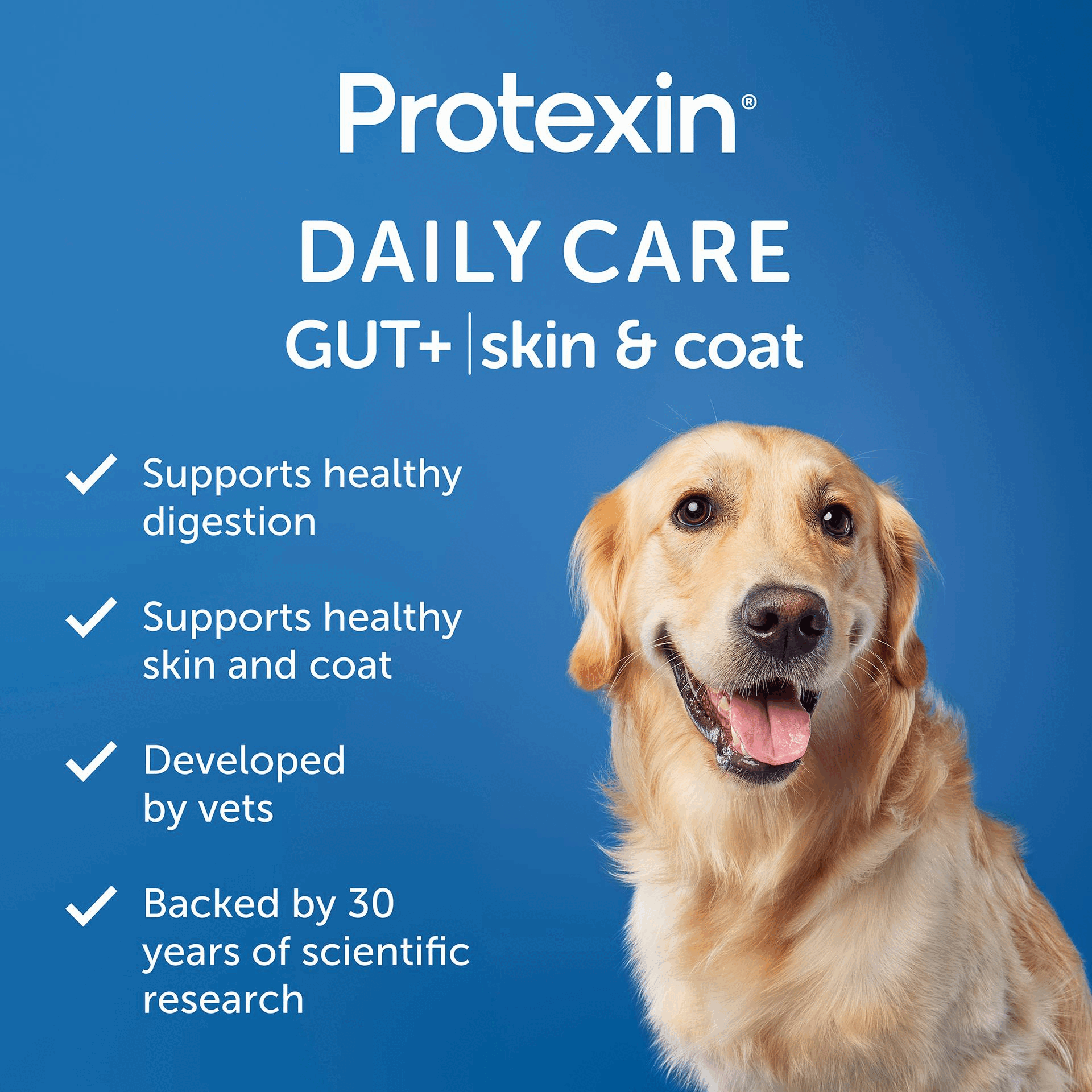 Image 1 GIF - A Golden Retriever dog with its tongue out looks toward the viewer on a blue background, with white text on the left side that reads: Protexin® DAILY CARE GUT+ | skin & coat, and four checked bullet points that state: Supports healthy digestion, Supports healthy skin and coat, Developed by vets, Backed by 30 years of scientific research. Image 2 GIF - A blue background displays white and blue text and a grey and white circular logo that reads SMARTER PETCARE POWERED BY BIOTICS. Backed by 30 years of scientific research, we have developed Protexin Daily Care Gut+ to revolutionise pet wellness. Support the balance of your dog’s gut and look after them in the smartest way possible – from the inside, out. The logo features Pet Biotix and Good Gut Health, with an additional section below indicating Prebiotics and Postbiotics. Image 3 GIF - A blue informational graphic features white text: TASTES GOOD, DOES GOOD. Below are three bullet points with white icons: an intestine icon with the text A delicious daily chew, packed with prebiotics and postbiotics; a duck icon with the text Duck and sweet potato flavour for a taste theyll love; and a paw print icon with the text Suitable for dogs of all sizes. Image 4 GIF - Image shows a hand holding a single brown chew, with text asking How Many, How Often?, followed by a table detailing chew dosages and delivery schedules for dogs: Size of dog, Chews per day, 1 pouch lasts, Deliver every, with data for Small (<15kg) 1 chew 60 days 2 months, Medium (15-30kg) 2 chews 30 days 1 month, Large (30-45kg) 3 chews 20 days 3 weeks, and Extra-large (>45kg) 4 chews 15 days 2 weeks. Image 5 GIF - A happy golden retriever dog on a blue background with text reading OUR ACTIVE INGREDIENTS Daily support for a healthy gut and to help maintain healthy skin and coat. Prebiotic: Inulin (Cichorium intybus L.). Postbiotic: Inactivated Bifidobacterium animalis subsp. lactis CECT8145 BPL1°. Other active ingredients: Algae oil (Omega-3, DHA, EPA), hyaluronic acid, biotin (vitamin H), vitamin E. Image 6 GIF - The image displays a variety of Protexin pet health products, including soft chews in blue and orange pouches, a white tub of fibre, and a teal box with a syringe of oral paste, all set on a blue background with some heart-shaped treats, featuring the text Protexin, Powered by science, packed full of life, Protexin Daily Care GUT+skin & coat, Protexin Daily Care GUT+immunity, Protexin Pro-Fibre, Protexin Pro-Kolin, and Part of the Protexin family.