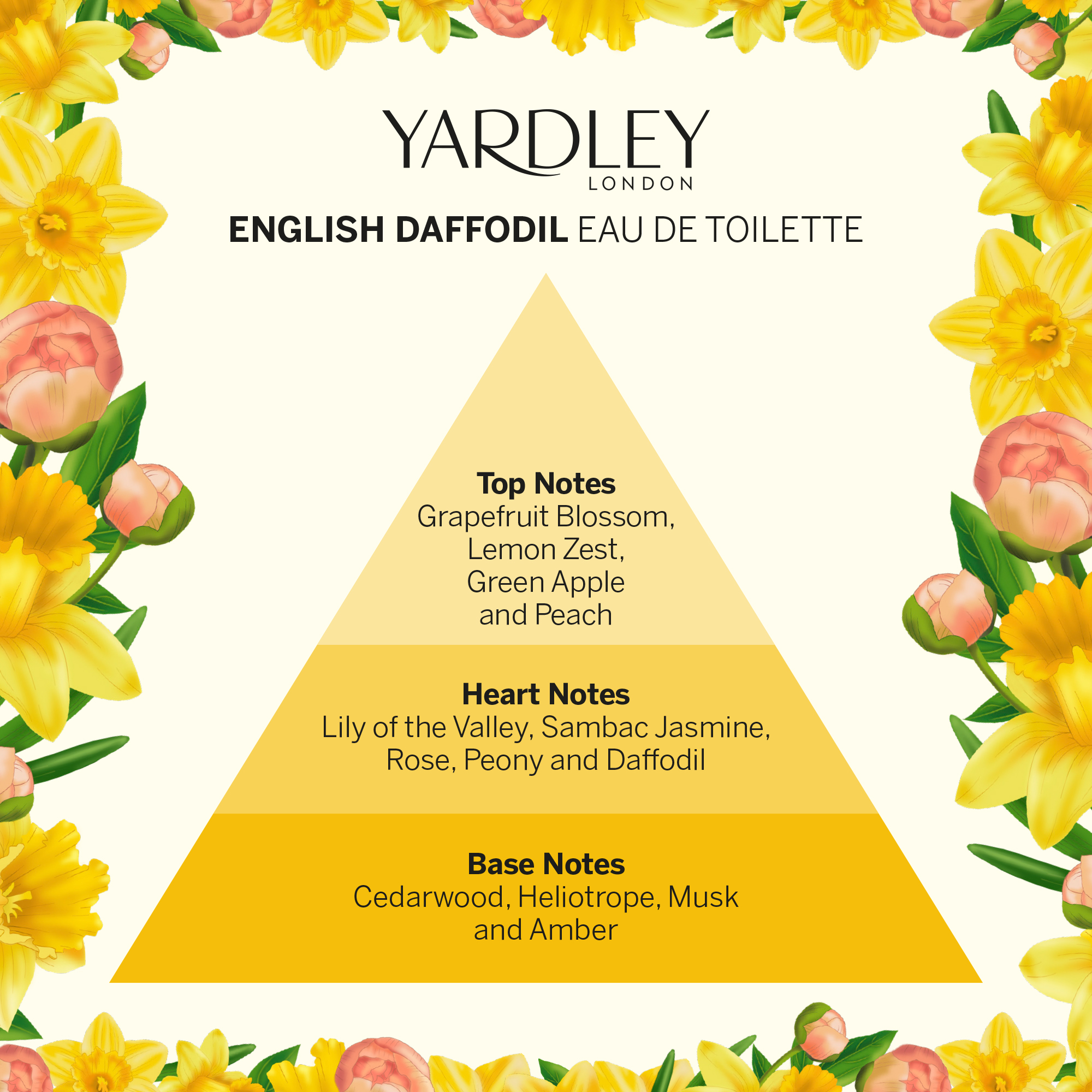 Yardley London. English Daffodil Eau de Toilette. Top Notes, Grapefruit Blossom, Lemon Zest, Green Apple and Peach. Heart Notes, Lily of the Valley, Sambac Jasmine, Rose, Peony and Daffodil. Base Notes, Cedarwood, Heliotrope, Musk and Amber.