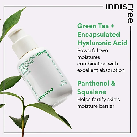 Image 4 - A white Innisfree Green Tea Seed Hyaluronic Serum bottle with a pump top rests on green tea leaves, with text on the bottle stating Green Tea Seed Hyaluronic Serum Facial Serum, Hydrate + Glow, 80mL 2.70 FL.OZ., Green Tea + HA™, and surrounding marketing text reading Innisfree, Free, Green Tea + Encapsulated Hyaluronic Acid Powerful two moistures combination with excellent absorption, Panthenol & Squalane Helps fortify skins moisture barrier. Image 5 - A persons hand squeezes a white bottle of innisfree Green Tea Hyaluronic Serum, with two drops falling onto their finger, alongside text that reads Hydration & Glow, 96% felt that the serum strengthen their skins moisture barrier to help with dryness*, 93% think their skin looks healthier and more radiant*, 93% felt immediately after use that the serum helps to balance the skins hydration and oil levels*, and *Based on a 14-day independent consumer study on 30 women aged 20-35. Image 6 - A white Innisfree Green Tea Seed Hyaluronic Serum bottle with a pump dispenser is angled on a light peach background with water droplets and green leaves, featuring text on the bottle that reads INNISFREE GREEN TEA SEED HYALURONIC SERUM FACIAL SERUM HYDRATE + GLOW 80mL 2.70FL.Oz and GREEN TEA + HA, along with feature callouts stating Water like gel-texture, Absorbs quickly, and Fragrance Alcohol Free. Image 7 - A person applies Innisfree Green Tea Seed Hyaluronic Serum facial serum to their cheek, with the product bottle visible, and overlay text that reads WHO IS THIS GOOD FOR? followed by Dull skin, Dehydrated skin, All skin types, and Compromised moisture barrier, while the bottle also states HYDRATE+GLOW.