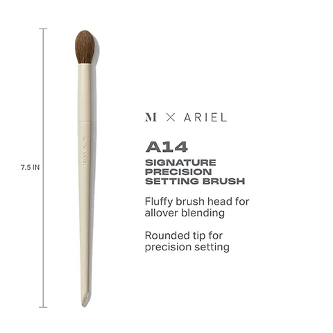 Image 1, 7.5 IN AIXARIFU M X ARIEL A14 SIGNATURE PRECISION SETTING BRUSH Fluffy brush head for allover blending Rounded tip for precision setting Image 2, HOW TO CLEAN YOUR MORPHE X ARIEL MAKEUP BRUSHES (1) Wet bristles with warm water and a gentle cleanser. 2) Swirl bristles on the palm of your hand. (3) Rinse and repeat until water appears clear. 4) Gently squeeze out any excess moisture. 5) Reshape the bristles, then place the brush flat or upside down to air-dry. CAUTION: Avoid using hot water and wetting handles and ferrules.