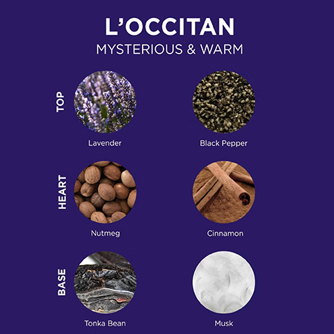 Image depicts a graphic for LOccitan with the title MYSTERIOUS & WARM at the top followed by circular images and labels for fragrance notes: top notes of lavender and black pepper, heart notes of nutmeg and cinnamon, and base notes of tonka bean and musk.