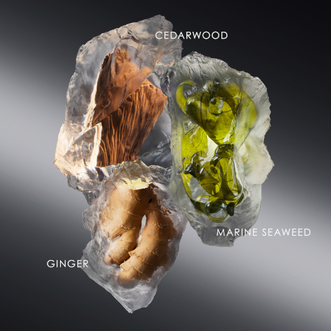 GINGER CEDARWOOD MARINE SEAWEED