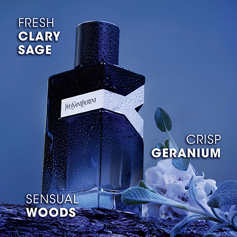 FRESH CLARY SAGE KESSANTAURENT SENSUAL WOODS CRISP GERANIUM