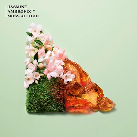 Jasmine. Ambrofix. Moss Accord.
