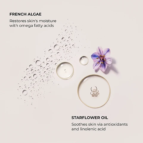image 1, french algae - restores skin's moisture with omega fatty acids. starflower oil- soothes skin via antioxidants and linolenic acid. image 2, ambre vanille - the sensuality of amber and the warmth of vanilla in an intimate, addictive scent.