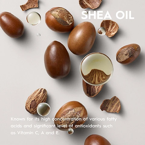 Image 1 - Various brown shea nuts and pieces of shea bark are scattered on a light gray background, with a round droplet of shea oil and the text SHEA OIL, followed by a description of its benefits.
              Image 2 - A product label for KERASILK STYLING FLAT IRON SPRAY displays benefits including heat-activated straightening support, heat protection up to 230°C, and long-lasting styles, with text listing features such as up to 3.7 times less frizz and 95% less hair breakage.
              Image 3 - Image of three Kerasilk hair care products displayed in a row: a purple jar labeled Finishing Cream with text saying Refined, Iridescent, Incredible; a light blue jar labeled Smoothing Mask with text saying Soft, Nourished, Luxurious; and a blue bottle labeled Taming Balm with text saying Smooth, Soft, Amazing, with the title above reading Find Your Kerasilk Hair Action Plan.
              Image 4 - An infographic on a light purple background with the heading CLIMATE CONSCIOUS INSIDE OUT and icons, including a climate neutral certification logo, with text stating CLIMATE NEUTRAL PRODUCT: Product is CO2 compensated, a vegan formula icon with VEGAN FORMULA: No animal-derived ingredients, and a chemistry flask icon with FREE FROM: sulfates, dyes, microplastics, mineral oils.