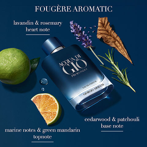 Armani Acqua di Gio Profondo Eau de Parfum 100ml Gift Set