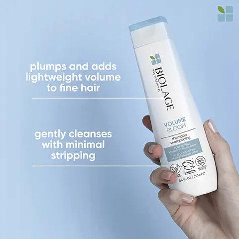 Image 1, plumps and adds lightweight volume to fine hair PROFESSIONAL BAGE gently cleanses with minimal stripping VOLUME BLOOM shampoo shampooing FOR FINE HAR POUR CHEVEUXING ferde con 84 FL02/250e Image 2, adds long-lasting bouncy volume ensures shine for manageable, voluminous hair gently cleanses with minimal stripping BIOLAGE PROFESSIONA VOLUME BLOOM conditioner 47 FLO2/200 Image 3, BIOLAGE ALL-IN-ONE MULTI-BENERT SPRAY A ST02/150 MULTI-BENEFITS Vegan formula* Infused with coconut oil Enhance shine, fights frizz & detangles Gentle formulas for healthy hair & scalp For all hair types. "Vegan formula: no animal derived ingredients or by-products Image 4, before after VOLUME BLOOM *after one use of Volume Bloom Shampoo and Conditioner