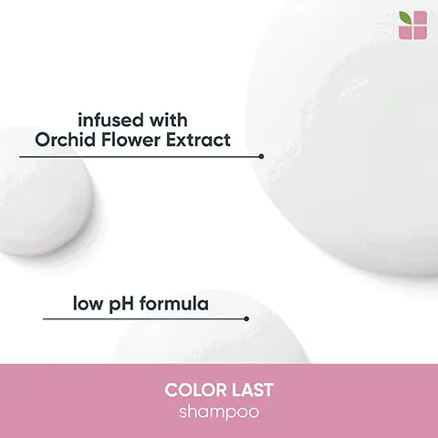 Image 1, infused with Orchid Flower Extract low pH formula COLOR LAST shampoo Image 2, infused with Orchid Flower Extract COLOR LAST conditioner Image 3, shampoo (95% "excluding cop VEGAN FORMULA RECYCLED Cruelty Free INTERNATIONAL BOTTLE helps salon hair color stay vibrant looking for up to 10 washes* up to 10x more conditioned hair** PROFESSIONAL BIOLAGE COLOR LAST shampoo shampooing VOR COLOR RADHA POUR CHEVEUX COLORES 14FL.CZ/250m *no animal-derived ingredients **Color Last Shampoo and Conditioner Image 4, conditioner 39% "excluding cap VEGAN FORMULA Cruelty Free INTERNATIONAL RECYCLED TUBE PROFESSIONAL BIOLAGE COLOR LAST conditioner revitalisont FOR COLOR VAR POUR CHEVRAC helps salon hair color stay vibrant looking for up to 10 washes** 47 FL OZ/200m "No animal-derived ingredients" **Color Last Shampoo and Conditioner Image 5, BIOLAGE ALL-IN-ONE MULTI-BENERT SPRAY A ST02/150 MULTI-BENEFITS Vegan formula* Infused with coconut oil Enhance shine, fights frizz & detangles Gentle formulas for healthy hair & scalp For all hair types. "Vegan formula: no animal derived ingredients or by-products