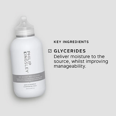 Image 1 - A white shampoo bottle labeled PHILIP KINGSLEY NO SCENT NO COLOUR GENTLE SHAMPOO with a checkmark next to GLYCERIDES and the text Deliver moisture to the source, whilst improving manageability.
              Image 2 - Image shows a tube of Philip Kingsley No Scent No Colour Gentle Conditioner with bubbles around it, along with statistics indicating that 89% reported it did not irritate the scalp, 88% reported hair felt gently nourished, and 87% reported it was suitable for their sensitive scalp.
              Image 3 - A person is holding a tube of Philip Kingsley No Scent No Colour Gentle Conditioner, with visible text detailing key benefits such as fragrance-free, paraben-free, hypoallergenic, and suitable for sensitive scalps.
              Image 4 - An image of a tube of Philip Kingsley conditioner with key ingredients listed, including Hydrolyzed Elastin and Amino Silicone, along with their benefits for hair.
              Image 5 - A persons hand is shown holding a bottle of Philip Kingsley Gentle Conditioner, with a portion of the conditioner being dispensed into the palm, and text next to the image reads TRICHOLOGIST TIP: After shampooing, gently work into the mid-lengths and ends of the hair, avoiding the roots. Rinse well.
              Image 6 - A shampoo bottle from Philip Kingsley with bubbles on top displays three percentage statements: 92% reported it DID NOT IRRITATE the scalp*, 90% reported it was SUITABLE for a SENSITIVE SCALP*, and 85% reported hair felt GENTLY CLEANSED* with a note that says *INDEPENDENT USER TRIALS.
              Image 7 - A hand holds a shampoo bottle labeled PHILIP KINGSLEY NO SCENT NO COLOUR with a gray background, and the text lists key benefits including fragrance, color and paraben-free, ideal for a sensitive, delicate or easily irritated scalp, hypoallergenic, extra gentle cleansing, and gentle enough for daily use.