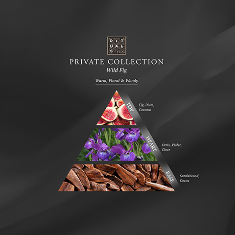 Image 1 - A triangular graphic illustrating the scent profile of a fragrance called Private Collection Wild Fig, with layers labeled as Top: Fig, Plum, Coconut; Heart: Orris, Violet, Clove; and Base: Sandalwood, Cocoa, set against a black background, with the text Warm, Floral & Woody at the center.