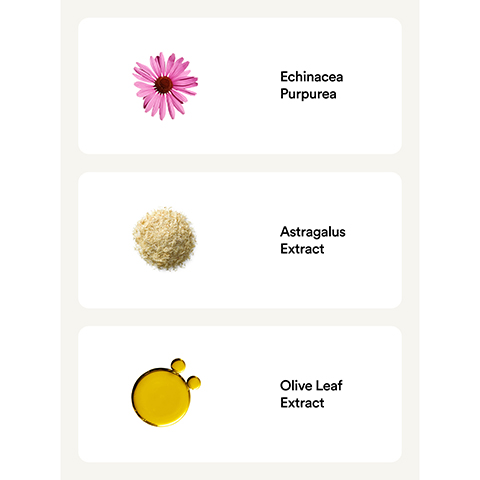 Image 1 - Image shows a pink Echinacea flower at the top, followed by a mound of Astragalus extract, and a droplet of Olive Leaf extract, with labels for each: Echinacea Purpurea, Astragalus Extract, Olive Leaf Extract.
