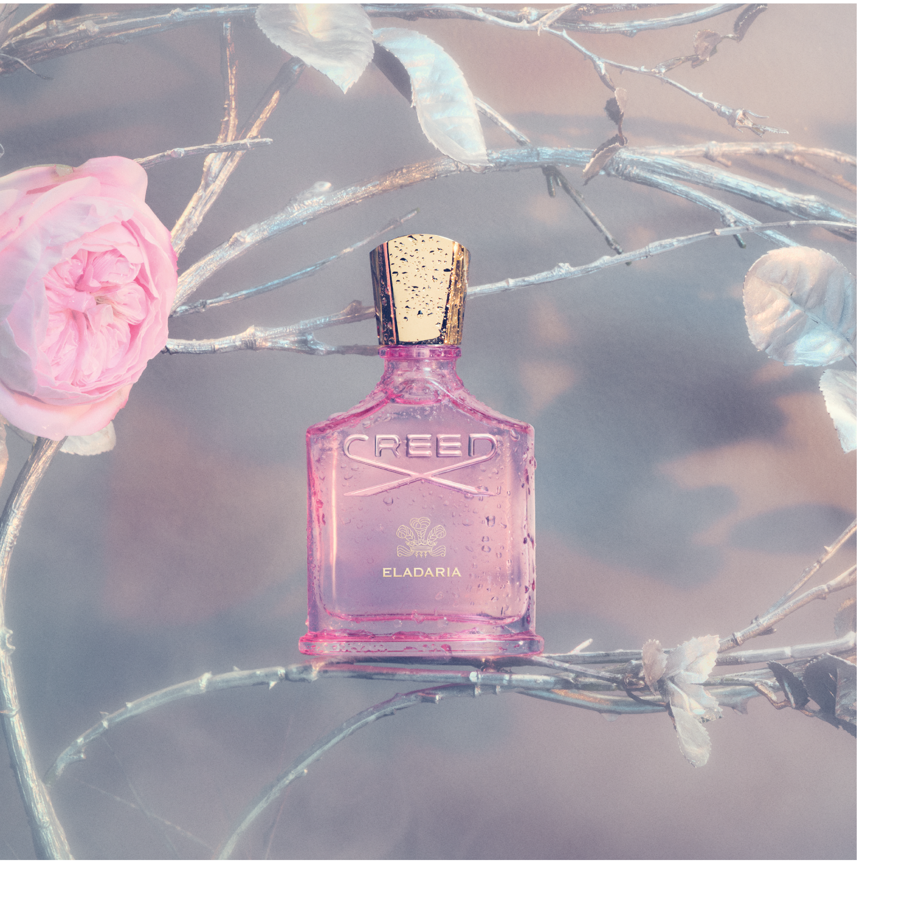 A pink Creed Eladaria perfume bottle covered in water droplets sits among silver branches and a pink rose.