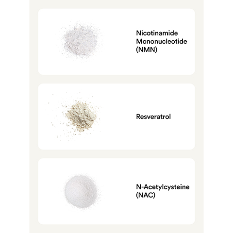 Image 1 - Image shows three piles of powdered supplements labeled as follows: Nicotinamide Mononucleotide (NMN) at the top, Resveratrol in the middle, and N-Acetylcysteine (NAC) at the bottom.