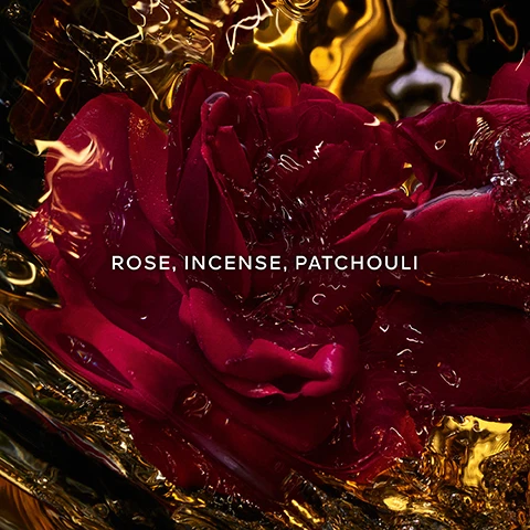 Image 1 - A close-up of a deep red rose partially submerged in a golden liquid with the text Rose, Incense, Patchouli displayed prominently.
              Image 2 - The image shows two sections featuring natural ingredients, with the left side displaying a logo that states MORE THAN 90% NATURAL ORIGIN, and the right side highlighting the text ORGANIC BEETROOT ALCOHOL, along with a floral background and the label ABSOLUS ALLEGORIA COLLECTION at the bottom.
              Image 3 - A silhouetted sailboat glides across shimmering water as the sun sets, with visible text reading AN ENCHANTINGLY MYSTERIOUS JOURNEY TO THE HEART OF THE WONDERS OF THE WORLD AT NIGHTFALL.