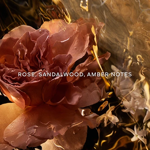 Image 1 - A close-up image of a pink flower against a shimmering gold background, with the text Rose, Sandalwood, Amber Notes prominently displayed.
              Image 2 - A split image showing two distinct designs with a green heart icon on the left stating more than 90% natural origin and a red heart icon on the right stating organic beetroot alcohol, with the text absolus allegoria collection at the bottom.