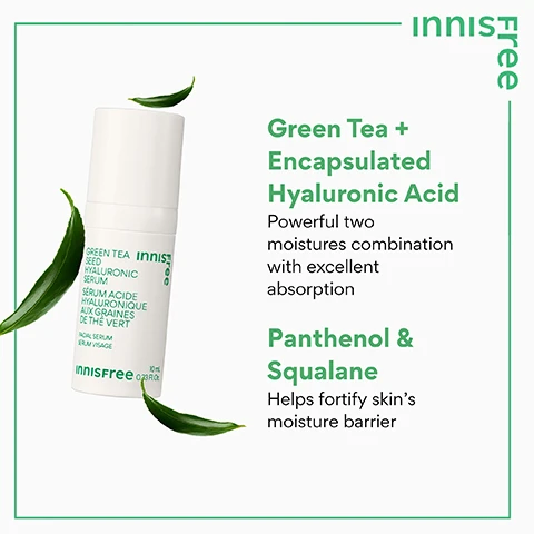 Image 3 - A white Innisfree Green Tea Seed Hyaluronic Serum bottle is displayed with green tea leaves, alongside the visible text: innisfree, GREEN TEA SEED HYALURONIC SERUM, SÉRUM ACIDE HYALURONIQUE AUX GRAINES DE THÉ VERT, FACIAL SERUM, SÉRUM VISAGE, 10 mL / 0.33 Fl. Oz., Green Tea + Encapsulated Hyaluronic Acid Powerful two moistures combination with excellent absorption, Panthenol & Squalane Helps fortify skin’s moisture barrier. Image 4 - Image shows three white innisfree Green Tea Seed Hyaluronic Cream jars with water droplets stacked against a vibrant green background, accompanied by visible text: innisfree logo, vertical innisfree, DOUBLE SQUEEZED FRESH GREEN TEA WATER™ Hydrating Beauty Green Tea™ extract with 1.67x more moisturizing ingredients than regular green tea, PANTHENOL / CERAMIDE / SQUALANE To hydrate & fortify skins moisture barrier, 5 TYPES OF HYALURONIC ACID To provide an amplified hydration, and on each jar: GREEN TEA SEED HYALURONIC CREAM FACIAL CREAM innisfree 50mL 1.69 FL.OZ. Image 5 - A white Innisfree cosmetic tube is shown tilted on a white background, displaying the text DAILY UV DEFENSE SUNSCREEN™ HIGH PROTECTION HAUTE PROTECTION SPF 30 innisfree 10 mL 0.33 FL. OZ., alongside text that reads innisfree Free JEJU GREEN TEA Nurtures skin with soothing hydration. SUNFLOWER SEED OIL Delivers lightweight moisture to the skin. CICA (CENTELLA ASIATICA) Soothes skin and reduces visible signs of irritation. ACTIVE INGREDIENTS UV FILTERS Avobenzone 2.5%, Homosalate 7%, Octisalate 4.3% - for high UVA/UVB protection (SPF 30).