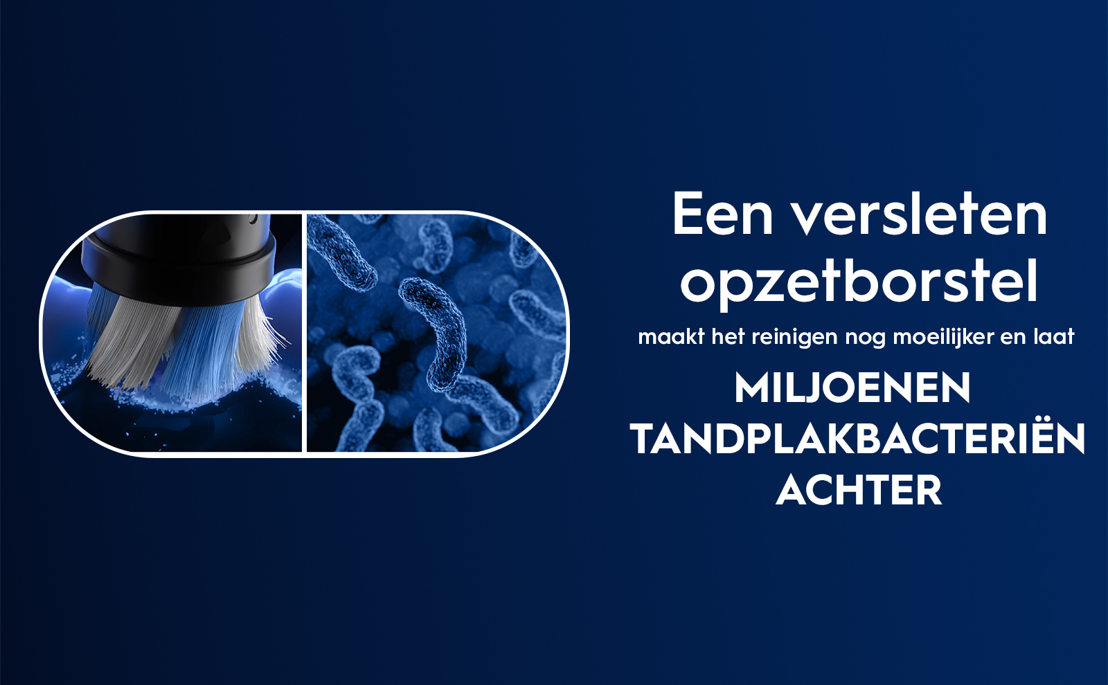 Image shows a close-up of a worn brush head on the left and a microscopic view of bacteria on the right, with visible text stating Een versleten opzetborstel maakt het reinigen nog moeilijker en laat MILJOENEN TANDPLAKBACTERIËN ACHTER.